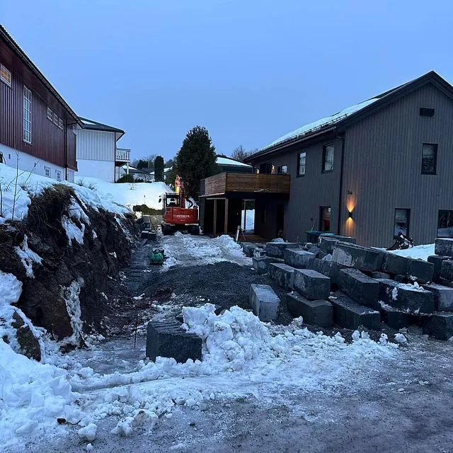 Steiner under prosjekt